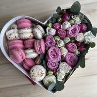Ніжні почуття 