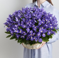 Кошик з ірисами 