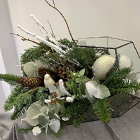 Сяйво Зимових Вечорів