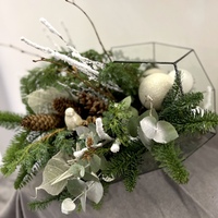 Сяйво Зимових Вечорів