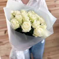Альбіна