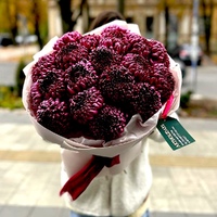 Виноградний Шарм